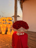 Ramo 300 rosas